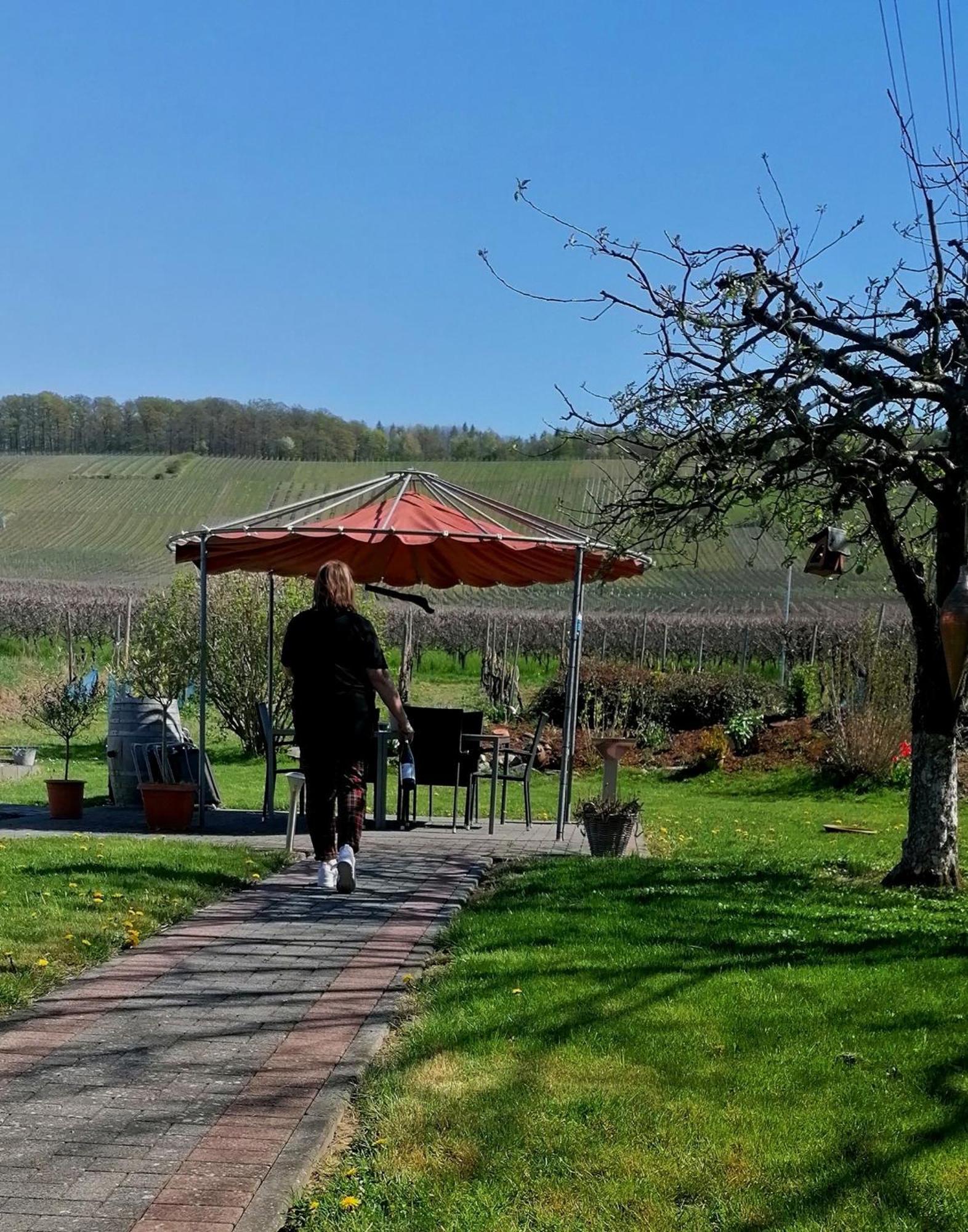 ブラウンエーベルク Weingut Tiliahof Bed & Breakfast エクステリア 写真