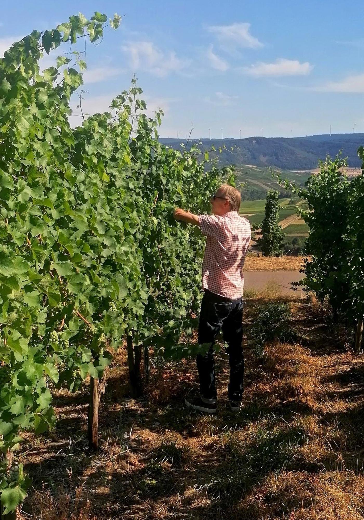 ブラウンエーベルク Weingut Tiliahof Bed & Breakfast エクステリア 写真