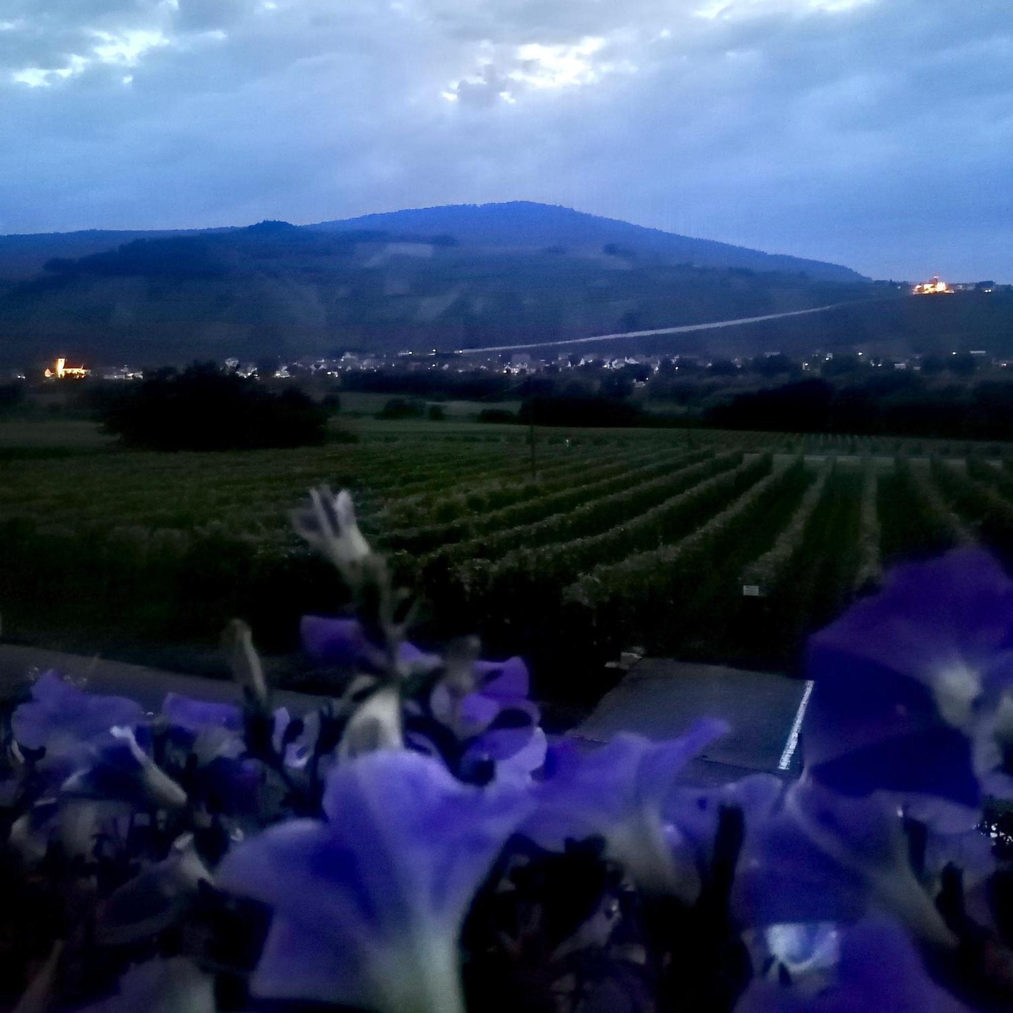 ブラウンエーベルク Weingut Tiliahof Bed & Breakfast エクステリア 写真
