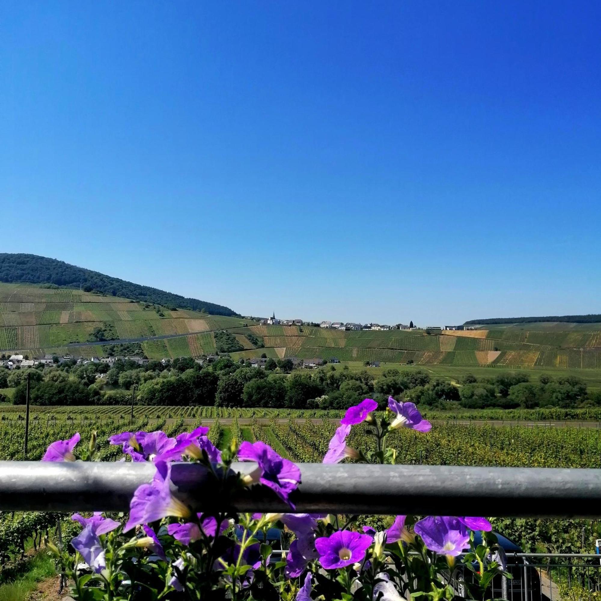 ブラウンエーベルク Weingut Tiliahof Bed & Breakfast エクステリア 写真